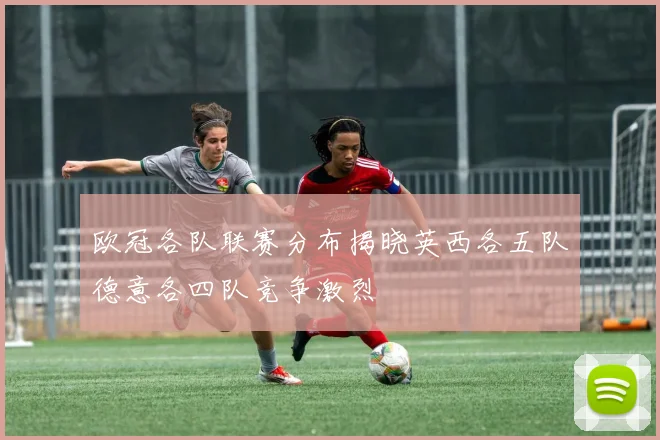 欧冠各队联赛分布揭晓英西各五队德意各四队竞争激烈
